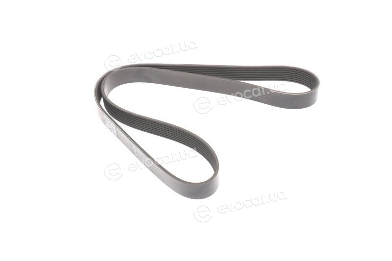 Dayco 8PK1230HD