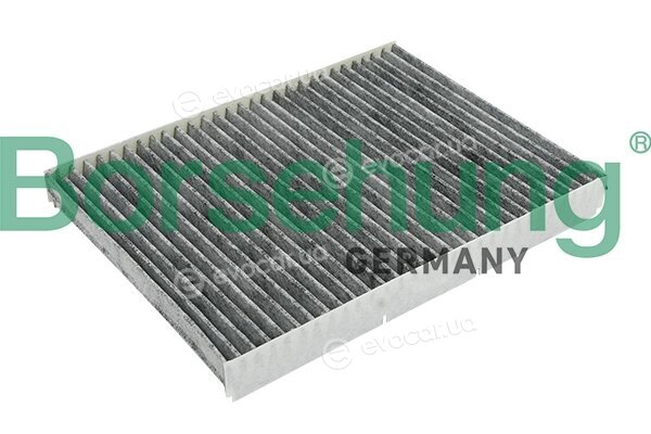 Borsehung B12796