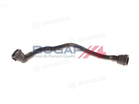 Bogap C4217100