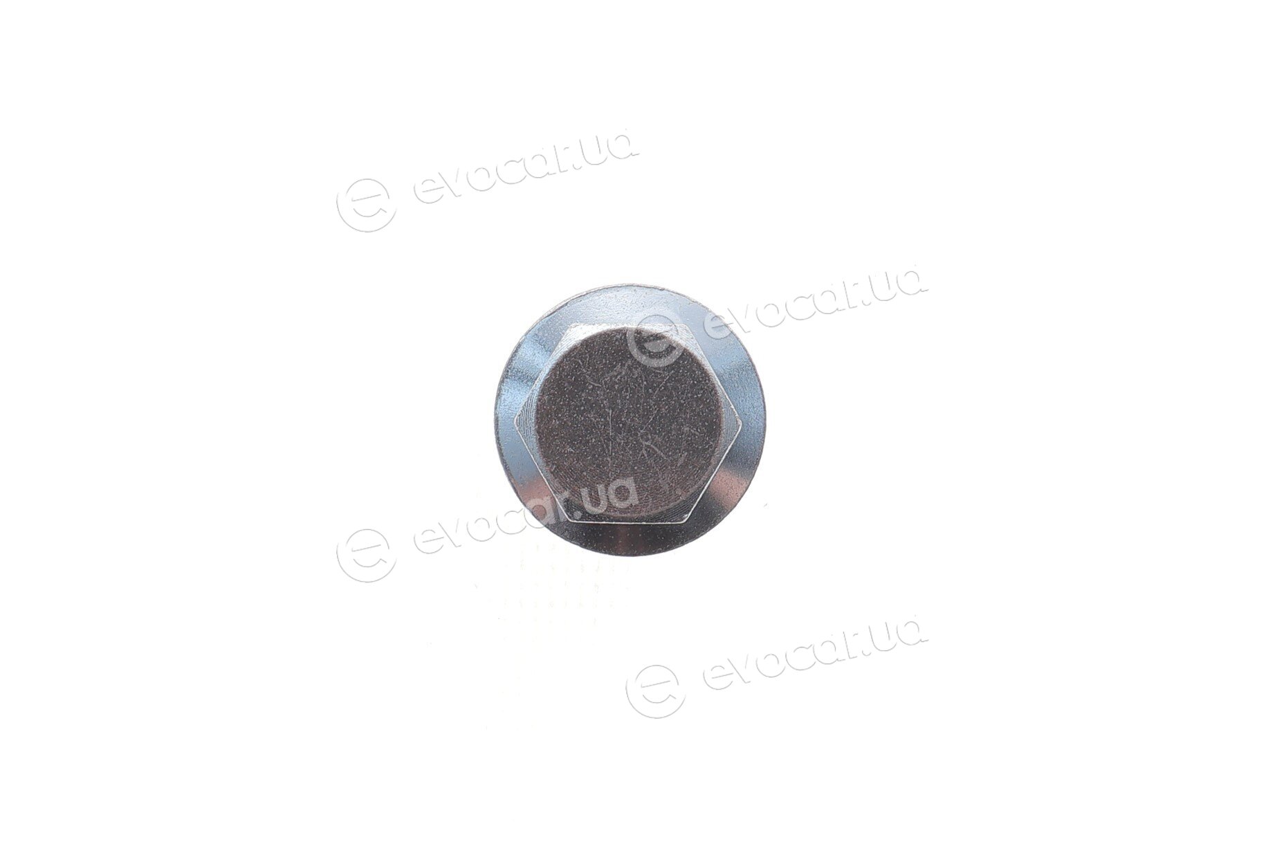 Elring 523.480