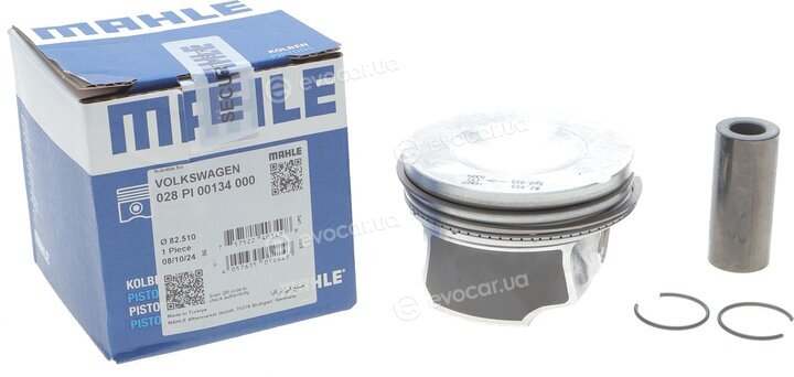 Mahle 028 PI 00134 000