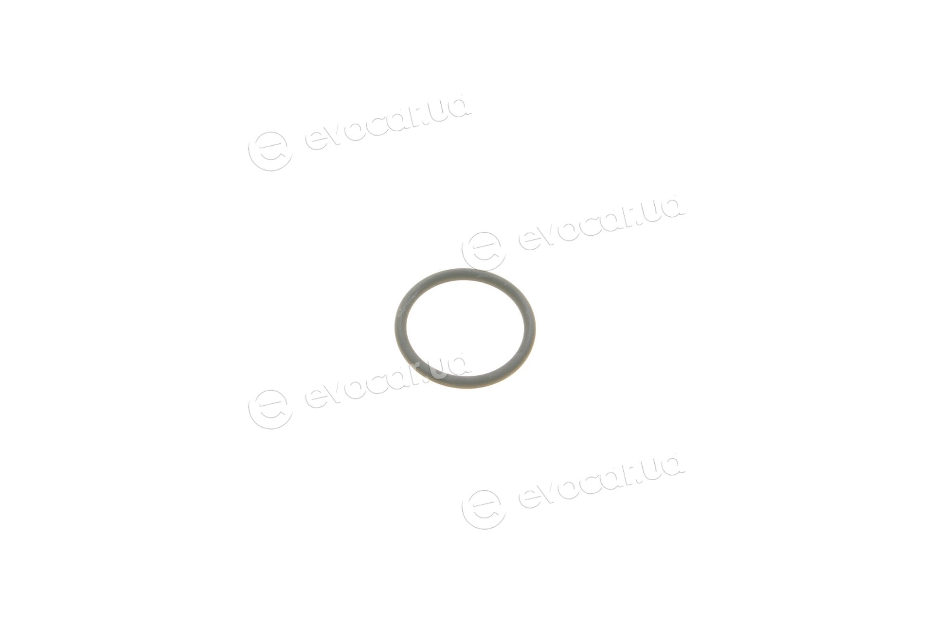 Elring 587.300