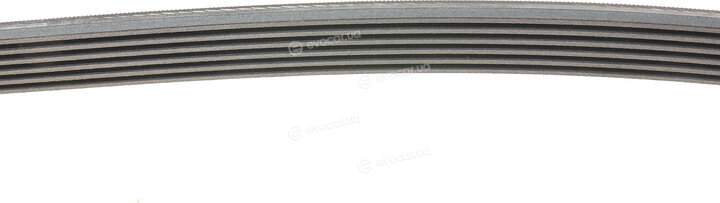 Continental 6PK2050