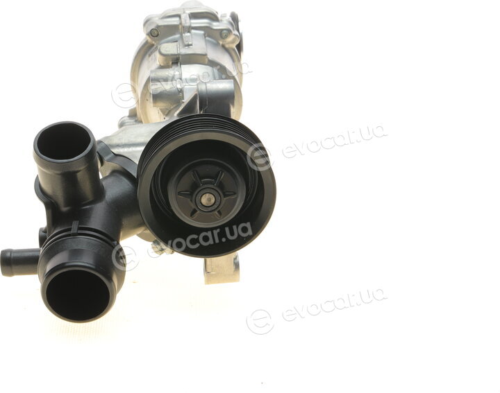 Hepu P1578