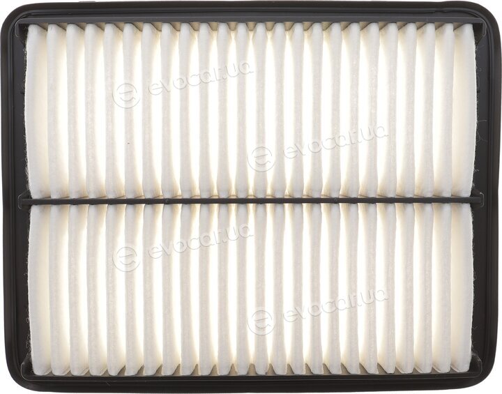 Solgy 103180