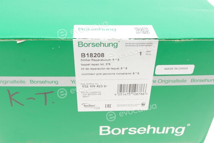 Borsehung B18208