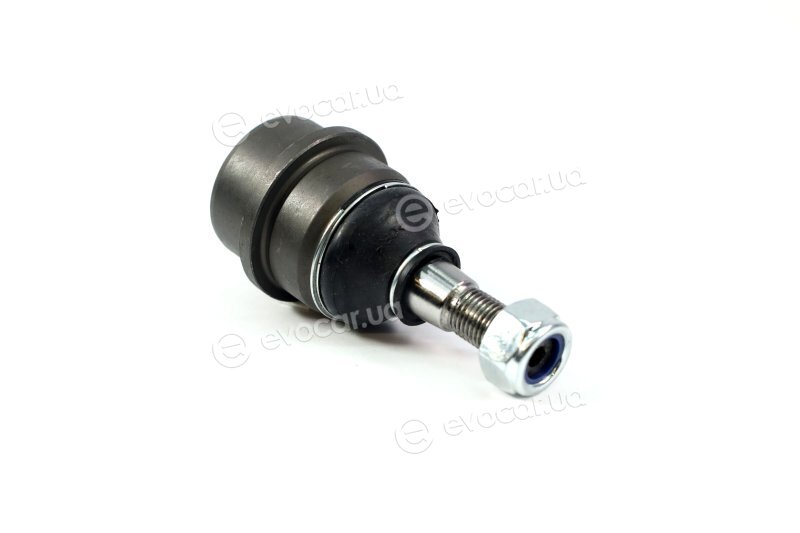 SKF VKDS 317503