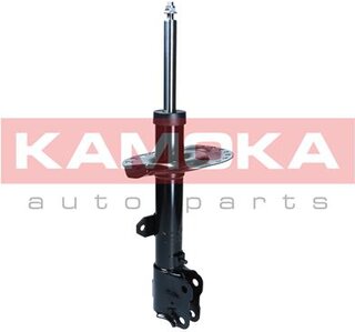 Kamoka 2001105