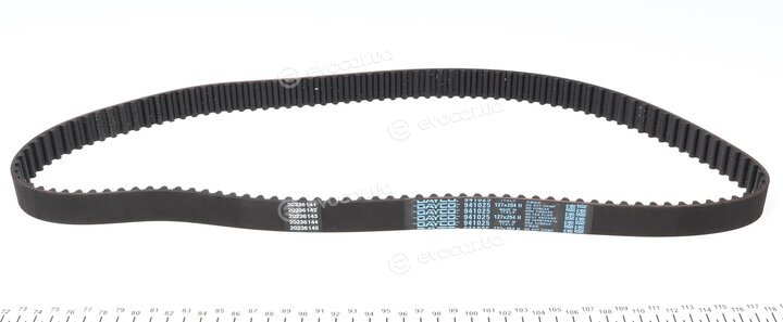 Dayco KTBWP5590