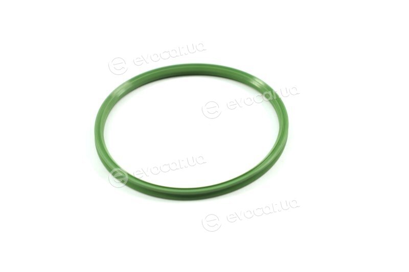 Elring 720.580