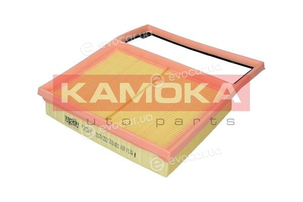 Kamoka F252901
