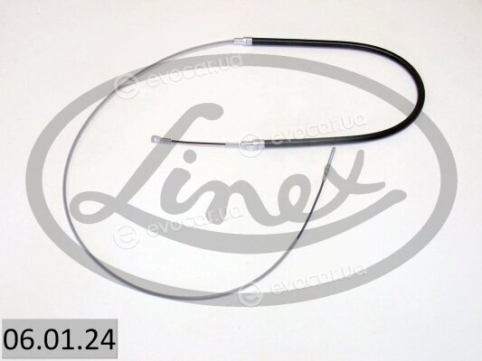 Linex 06.01.24
