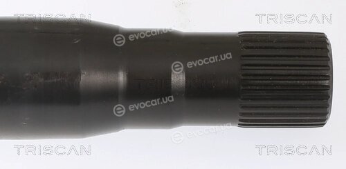 Triscan 8530 23234
