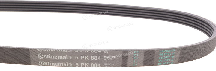 Continental 5PK884