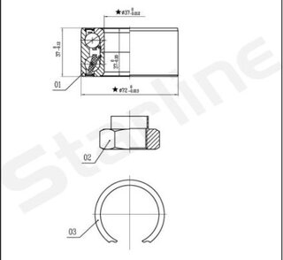 Starline LO 01439