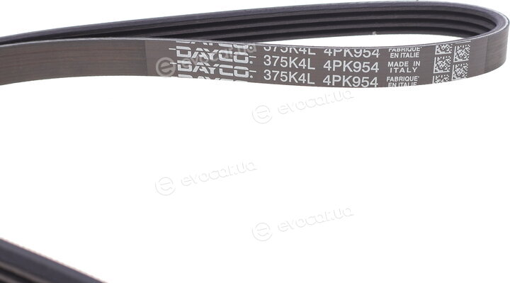 Dayco 4PK954