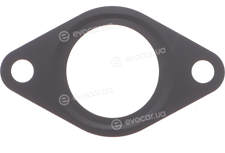 Elring 300.421