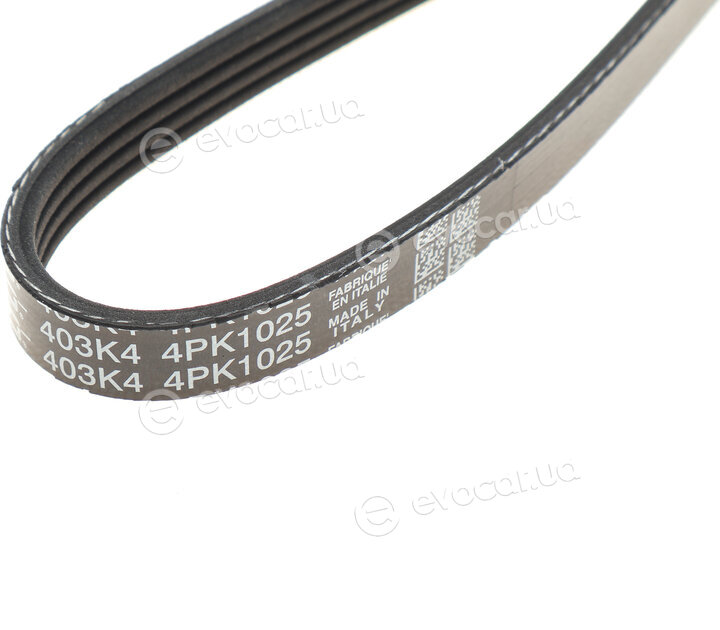 Dayco 4PK1025