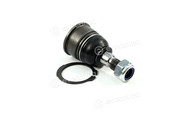 SKF VKDS 813006