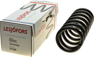 Lesjofors 4095023