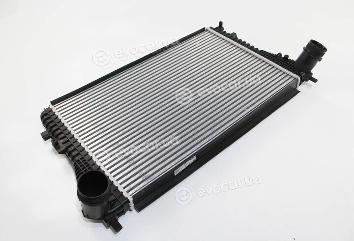 Mahle CI 207 000S
