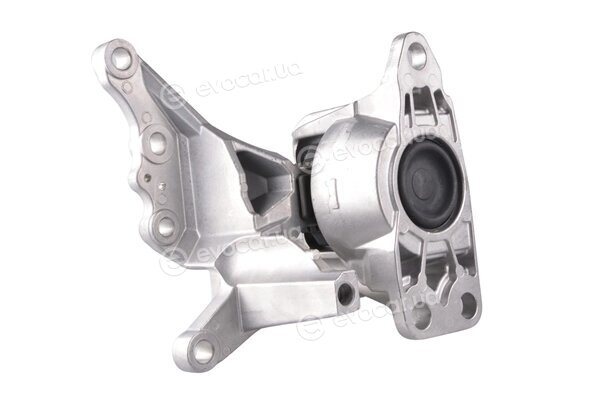 Tedgum TED49780