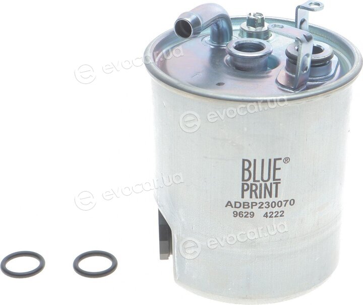 Blue Print ADBP230070