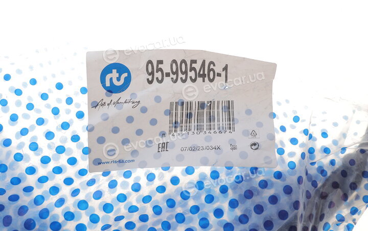 RTS 95-99546-1