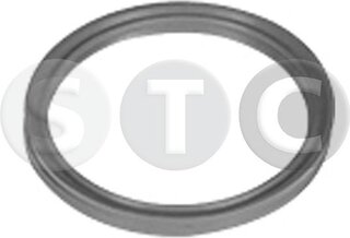 Metalcaucho / STC T498720