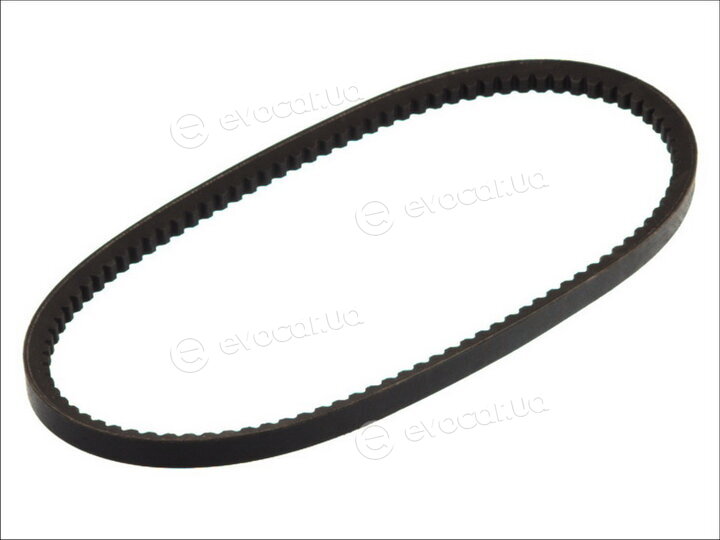 Continental AVX17X1195