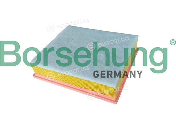 Borsehung B13204