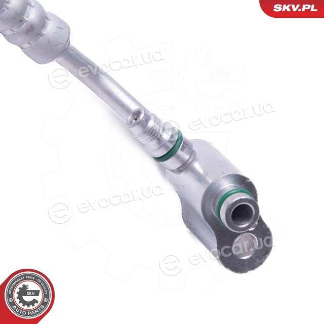 SKV 43SKV553