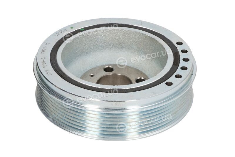 Dayco DPV1008