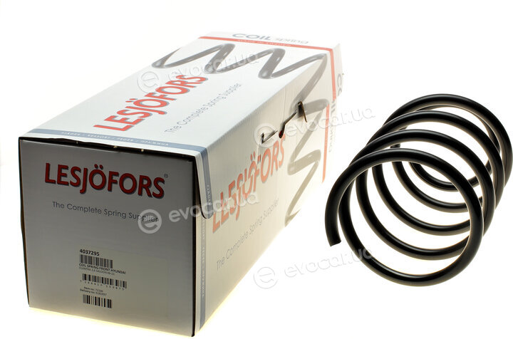 Lesjofors 4037295