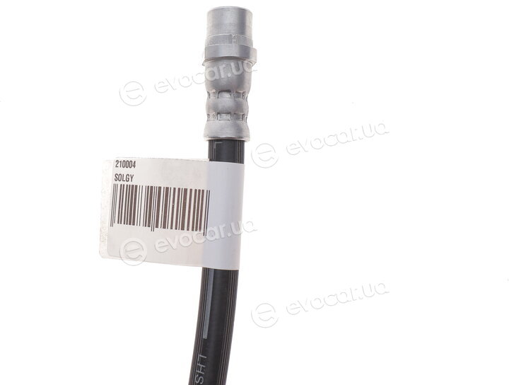 Solgy 210004