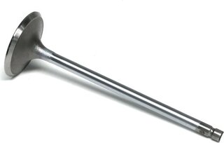 Gunes 6900