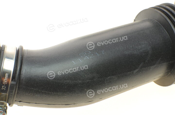 Solgy 114217