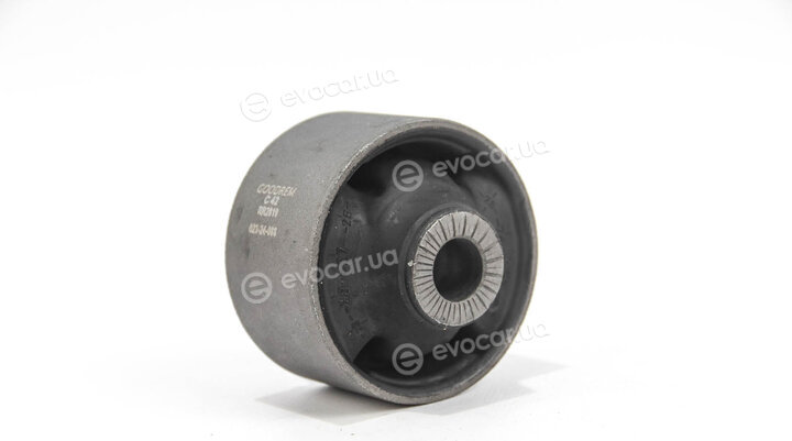 Goodrem RR2819