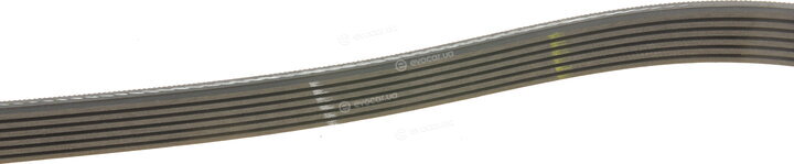 Gates 6PK1255