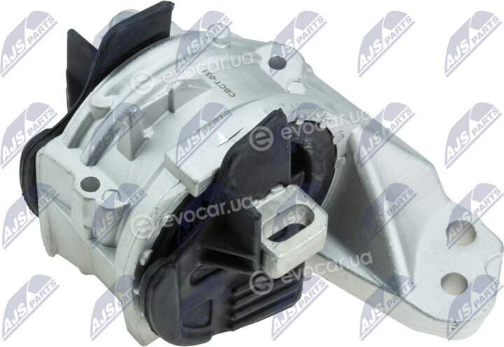 NTY ZPS-CT-031