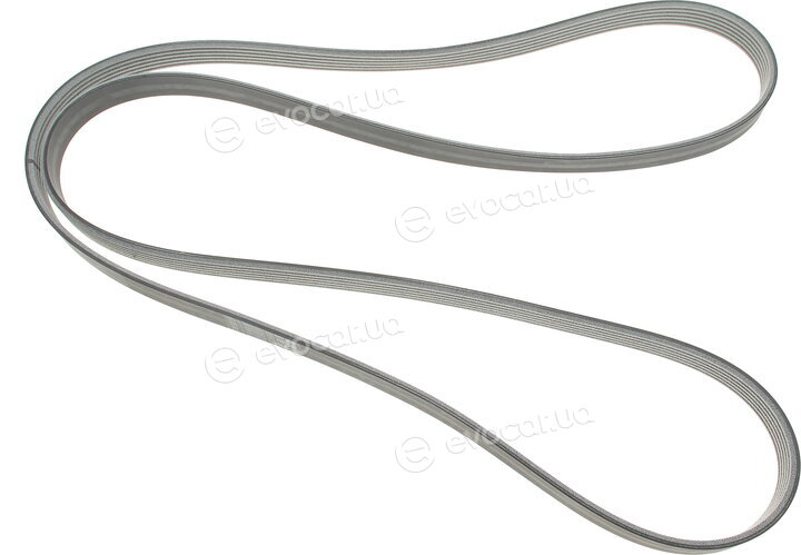 SKF VKMV 6PK2196