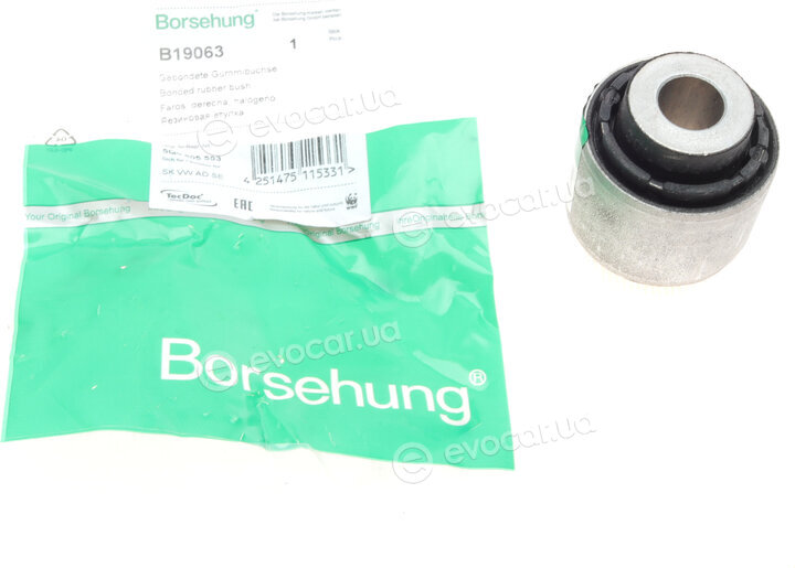 Borsehung B19063