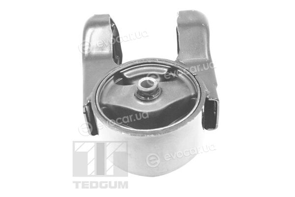 Tedgum TED52771