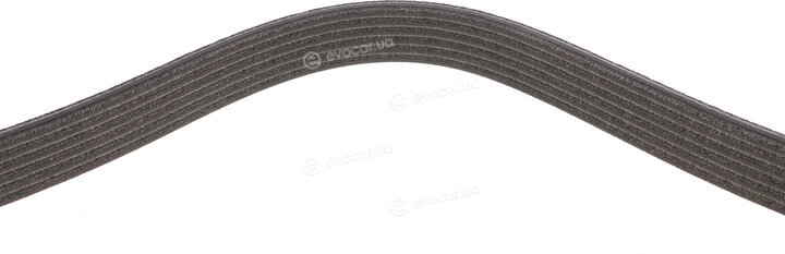 Dayco 6PK1030EE