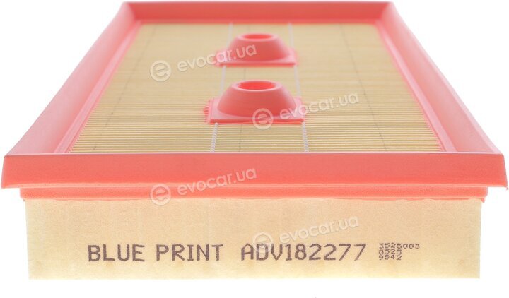 Blue Print ADV182277