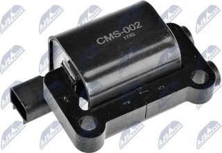 NTY ECZ-MS-002