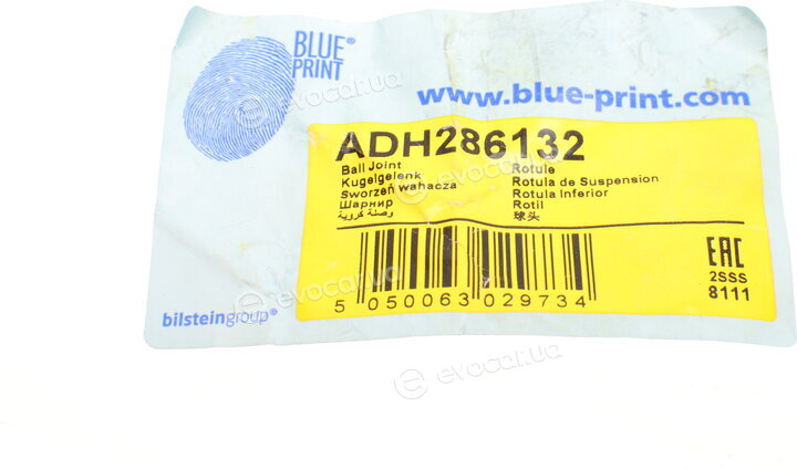 Blue Print ADH286132