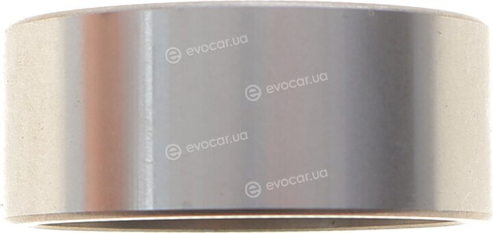 Dayco KTBWP2591
