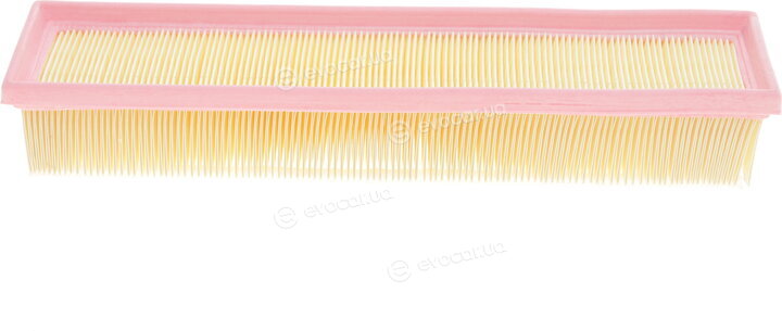 Solgy 103038