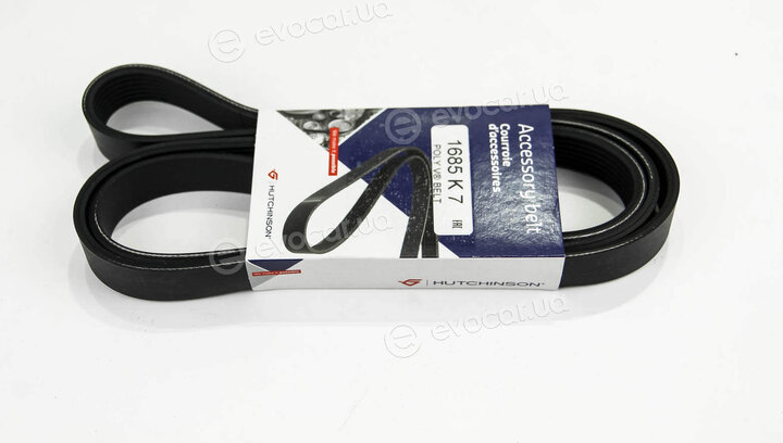Hutchinson 1685 K 7